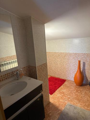 een badkamer met een wastafel en een vaas op de vloer bij Duplex/ T4 Quinta do Rei in Bragança