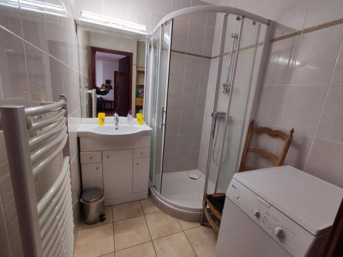 une salle de bain avec douche et lavabo dans l'établissement Duplex 6 pers. proche plage, terrasse, parking, animaux admis - FR-1-776-23, à Argelès-sur-Mer