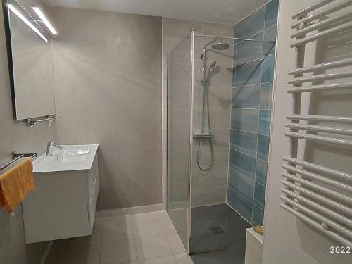 une salle de bain avec douche et lavabo dans l'établissement Appartement 4 pers, piscine, terrasse avec BBQ, parking, proche plage – Argelès-sur-Mer - FR-1-776-27, à Argelès-sur-Mer