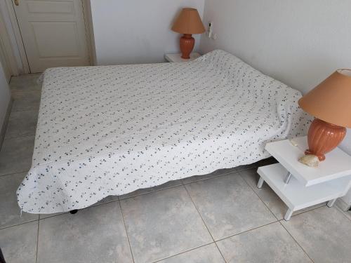 Canet : Appartement climatisé pour 6 pers avec vue mer, garage, WIFI