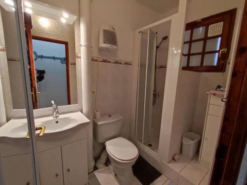 une salle de bain avec toilettes, lavabo et douche dans l'établissement Appartement 2 pièces avec piscine, parking privé, à 400m de la plage - 4 personnes - FR-1-776-46, à Argelès-sur-Mer