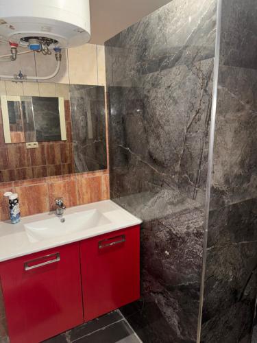 a bathroom with a red sink and a shower at Hôtel Rozafa in Charleroi