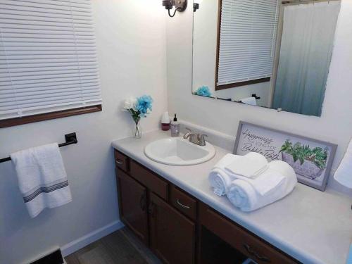 a bathroom with a sink and a mirror at ~Como's Finest ~A Home Away From Home ~Sleeps 10 ~ in Columbia
