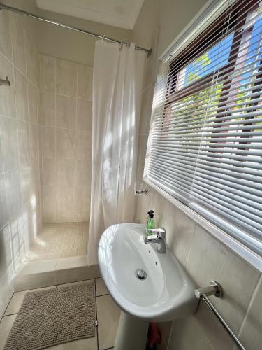 a bathroom with a sink and a shower at Bob-Bob's Cottage in Cape Town