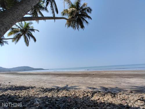 a beach with two palm trees and the ocean at Mauli Cottage in Kashid