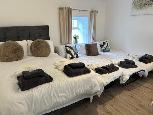 Gallery image of Entire Cottage The Nest, Omeath near Carlingford in Tullaghomeath