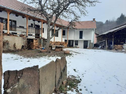 Gallery image of Kladenče in Pirot