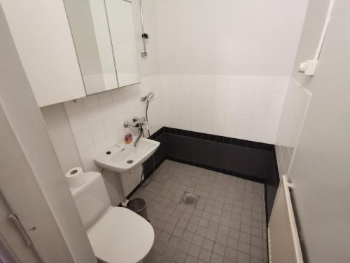 un piccolo bagno con servizi igienici e lavandino di Beautiful 2 Bed Apartment Sauna Facility in Kotka a Kotka