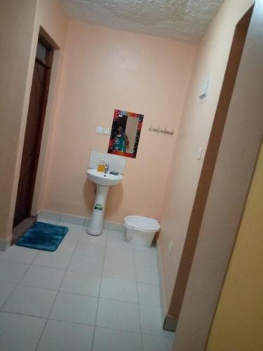 a bathroom with a sink and a toilet at Embu Paradise 1 bedroom AirBNB in Embu
