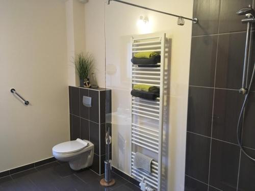 e bagno con doccia, servizi igienici e doccia. di Ferienwohnungen in der alten Schnitterkaserne a Prenzlau