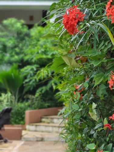 Taman di luar Nyumbani Residence Suites