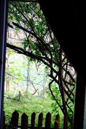 a window view of a forest through a wooden fence at La Beauté Bắc Hà in Bắc Hà