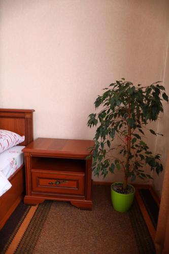 a bedroom with a table and a potted plant at Котедж у Карпатах in Tukholʼka