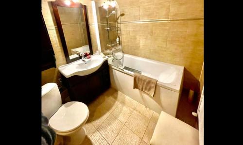 La salle de bains est pourvue d'une baignoire, de toilettes et d'un lavabo. dans l'établissement David Apartment, à Otopeni