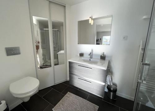 Baño blanco con aseo y lavamanos en 2 room independent appartement 5 mn from Annecy, en Veyrier-du-Lac