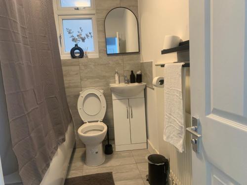 La salle de bains est pourvue de toilettes, d'un lavabo et d'un miroir. dans l'établissement L A PLACE Croydon, London, à Norwood