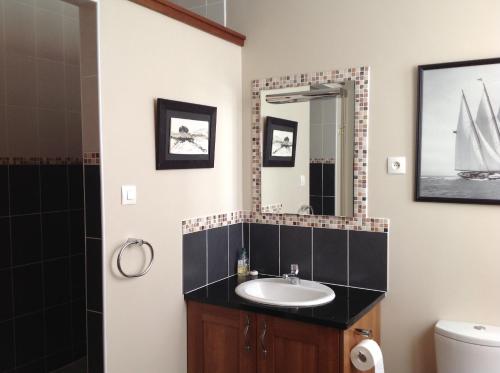 a bathroom with a sink and a mirror at La Grange Terrou in Saint-Germain-de-Confolens