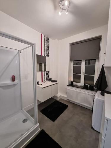 baño blanco con ducha y lavamanos en Spa: Superbe chambre en Spa