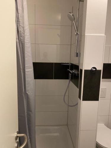 a bathroom with a shower with a shower at Wohnung für bis zu 4 Personen in Ludwigshafen am Rhein