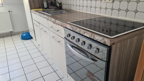 een keuken met een fornuis en een wastafel bij Guest house in Ludwigshafen am Rhein