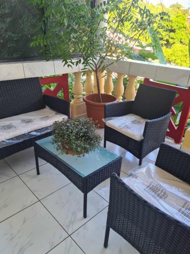 un patio avec des chaises et une table avec une plante dans l'établissement LE COROSSOL APPART, à Mamoudzou