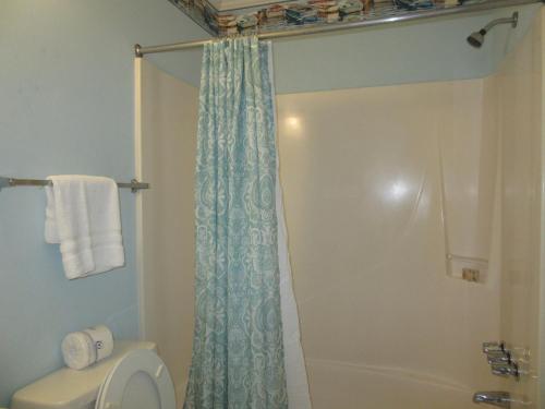 Kúpeľňa v ubytovaní Hilton Head Island Beach and Tennis Resort