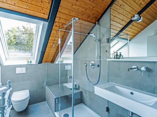 a bathroom with a shower and a toilet and a sink at Ferienhaus Hyggeby - Architektenhaus mit Schlei Blick in Ulsnis