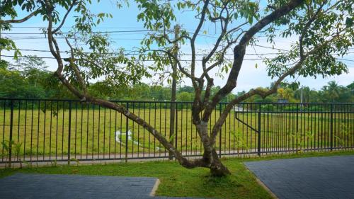 a tree in front of a black fence at Diyathra Escape in Galle