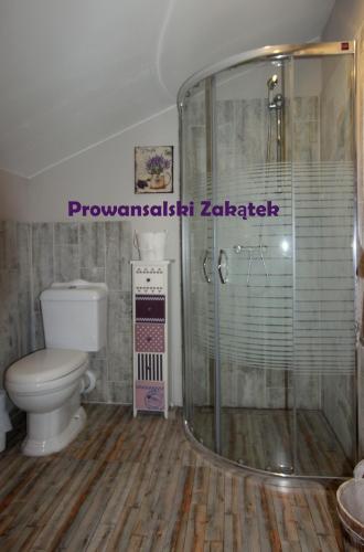 a bathroom with a toilet and a shower at Domek Podróżniczy in Łódź