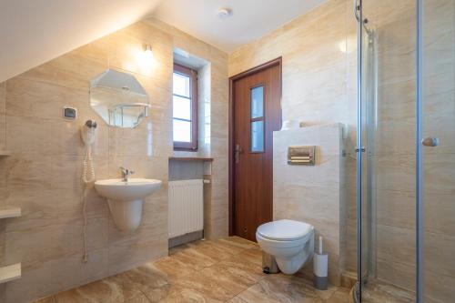 a bathroom with a toilet and a sink and a shower at Willa Anna Maria in Szklarska Poręba