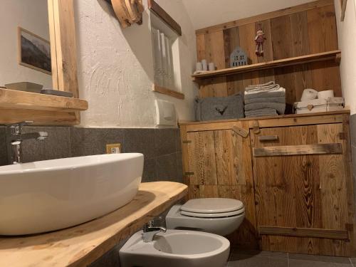 a bathroom with a white sink and a toilet at Cèsa Viosadea in Campitello di Fassa