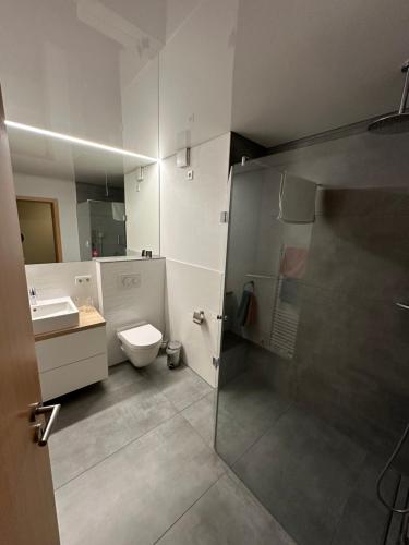 La salle de bains est pourvue de toilettes, d'un lavabo et d'une douche. dans l'établissement FeWo-Schwarzer, à Ingelheim-sur-le-Rhin