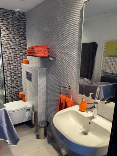 グアルダマル・デル・セグラにあるMimosa Apartmentのバスルーム(洗面台、トイレ、鏡付)