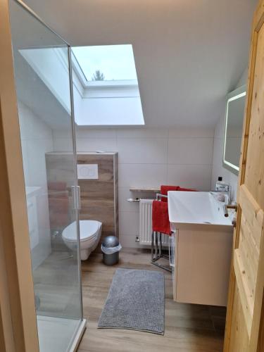 La salle de bains est pourvue d'une douche, de toilettes et d'un lavabo. dans l'établissement Gästehaus Schachnerhöhe, à Steyr