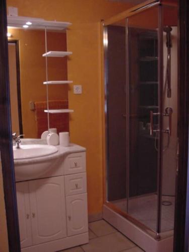 une salle de bain avec une douche en verre et un lavabo dans l'établissement Gîte en bord d'étang et de rivière, à Beynat