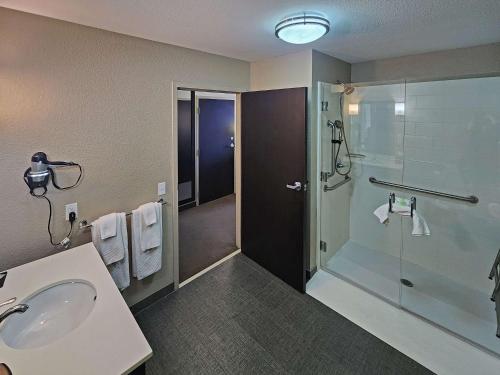 a bathroom with a sink and a shower at Sleep Inn & Suites Columbia in Columbia