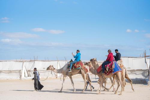 un grupo de personas montando sobre la espalda de los camellos en Tzila Camp en Fayoum