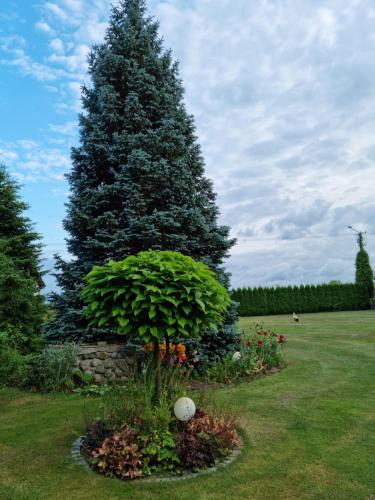 a large christmas tree in a yard with a flower garden at Pod Cisem in Kierzkowo