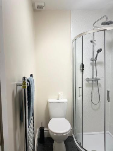 a bathroom with a toilet and a shower at Dinorwic Lodge in Liverpool
