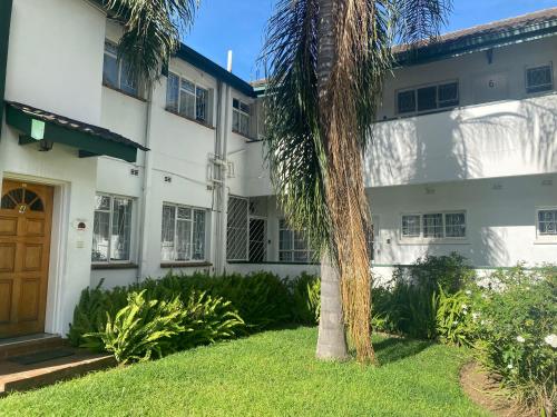 uma palmeira em frente a um edifício branco em Remarkable 1-Bed Apartment in Kensington Harare 