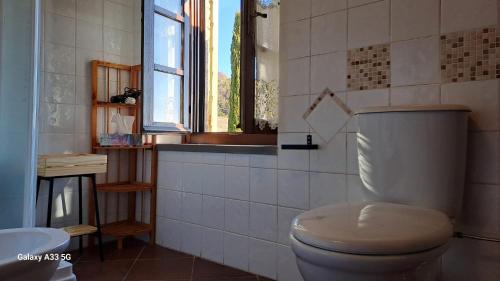 a bathroom with a white toilet and a window at Podere Oliveta in Montecatini Val di Cecina