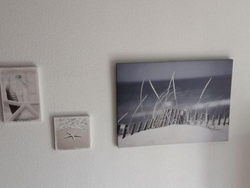 Fotografie z fotogalerie ubytování T2 mezzanine la grande bleue PORT LEUCATE v destinaci Port Leucate