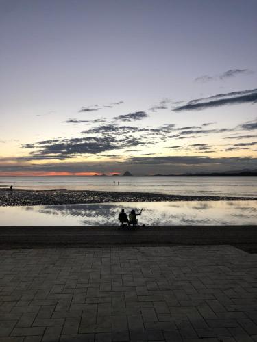 two dogs sitting on the beach at sunset at Apartamentos na Ponta dos Castelhanos - Anchieta in Anchieta