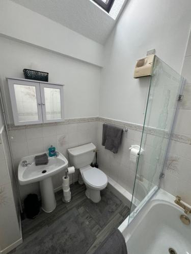 a bathroom with a toilet and a sink and a shower at *RARE FIND* 3 story, 2 bedroom house in Coleshill