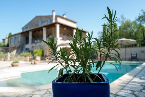 une plante en pot bleu installée à côté d'une piscine dans l'établissement Gîte Le Bel Endroit, à Saint-André-de-Cruzières