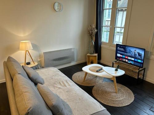 un salon avec un canapé et une télévision dans l'établissement Le Jaillant - Wifi - Centre Ville historique - Proche Gare, à Troyes