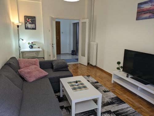 Lavender-Emma cosy apartment near city center في أثينا: غرفة معيشة مع أريكة وتلفزيون