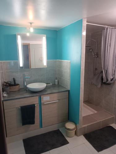 une salle de bain avec un lavabo et une douche dans l'établissement Maison a la campagne, à Biras