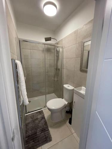a bathroom with a toilet and a shower and a sink at Luna - Deluxe London Studio Flat in South Norwood