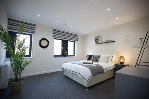 a white bedroom with a bed and a plant at Chapel House in London